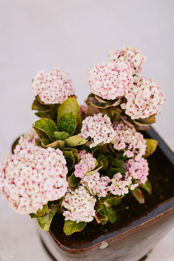 ilovebrides.pt decorelle